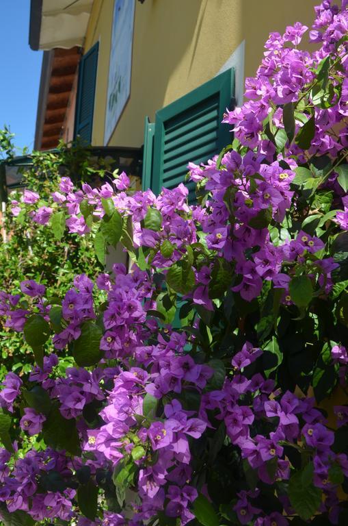 La Meridiana Affittacamere Colorno Extérieur photo